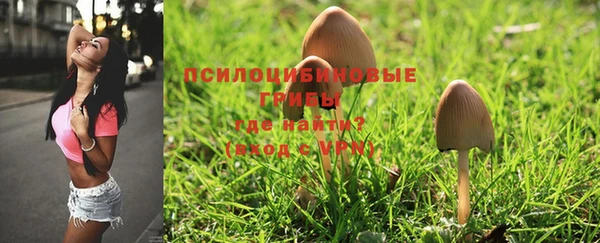 PSILOCYBIN Переславль-Залесский