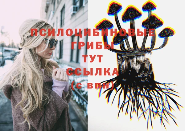 таблы Пестово