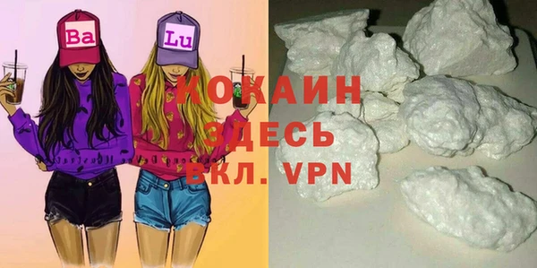 PSILOCYBIN Переславль-Залесский
