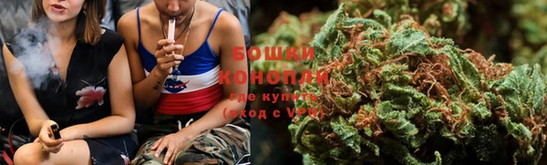 PSILOCYBIN Переславль-Залесский