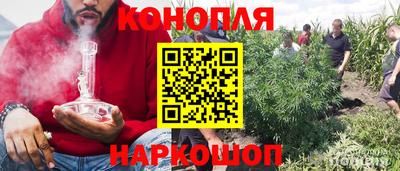 индика Гай