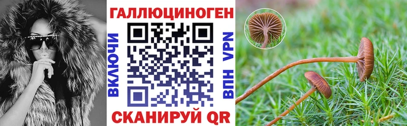 как найти закладки  Волжск  Псилоцибиновые грибы MAGIC MUSHROOMS 