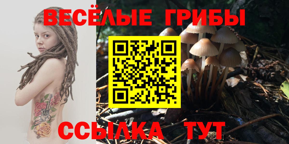 Галлюциногенные грибы мухоморы  закладки  Галлюциногенные грибы прущие грибы  Волжск 